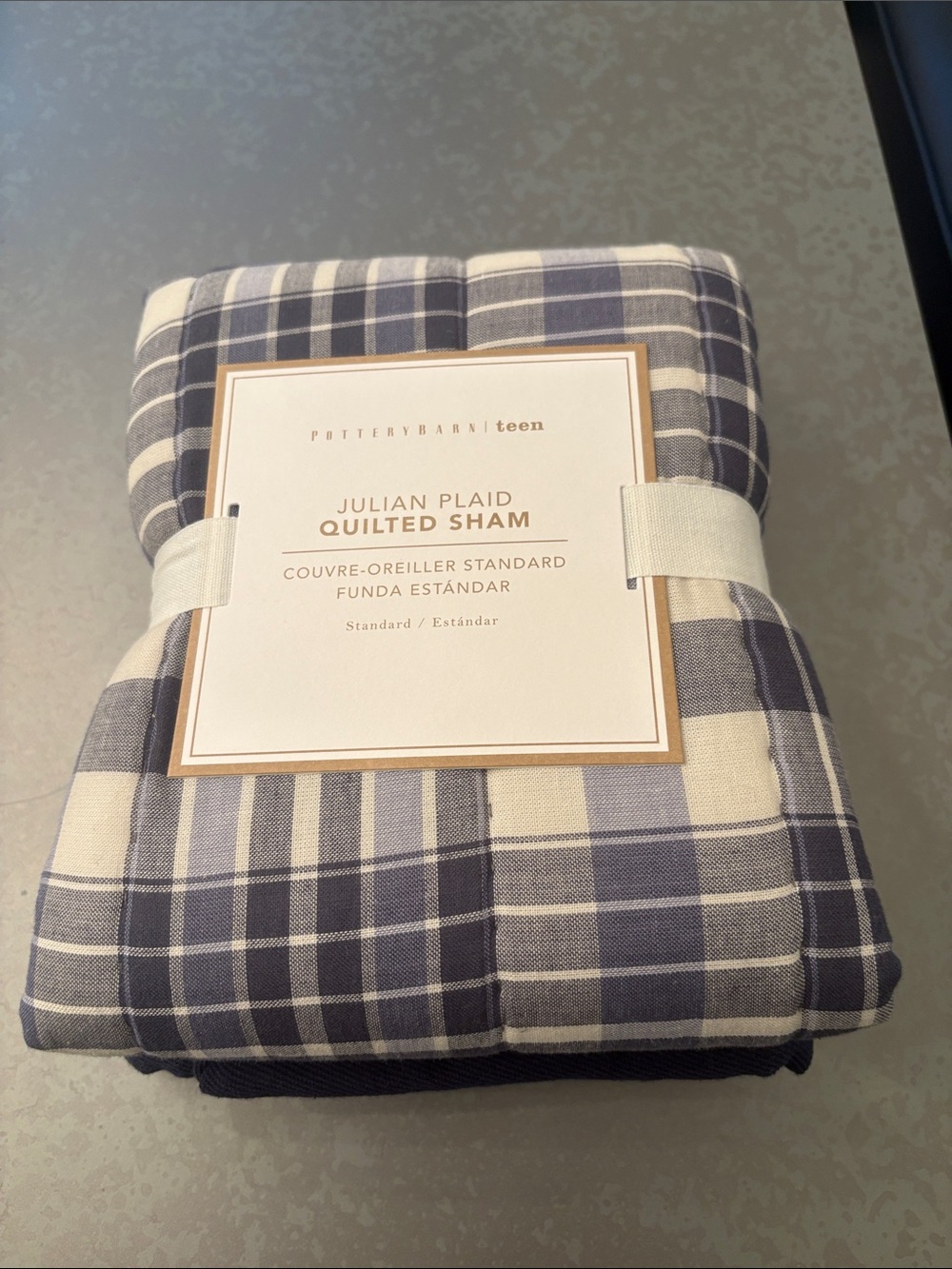 Pottery Barn Teen Julian Plaid Quilted Sham - Blue & Cream Plaid